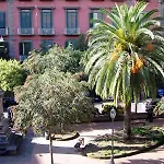 Bellini 4*
