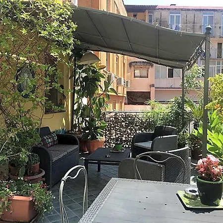 Bellini 4*