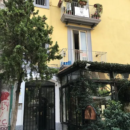 Bellini 4*
